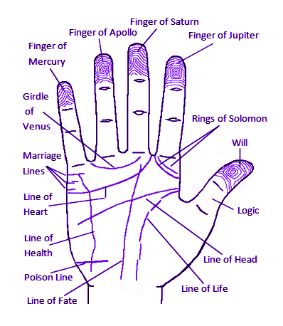 Featured Information on Palmistry