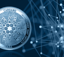 using Cardano