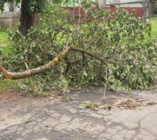 Debris removal Long Island